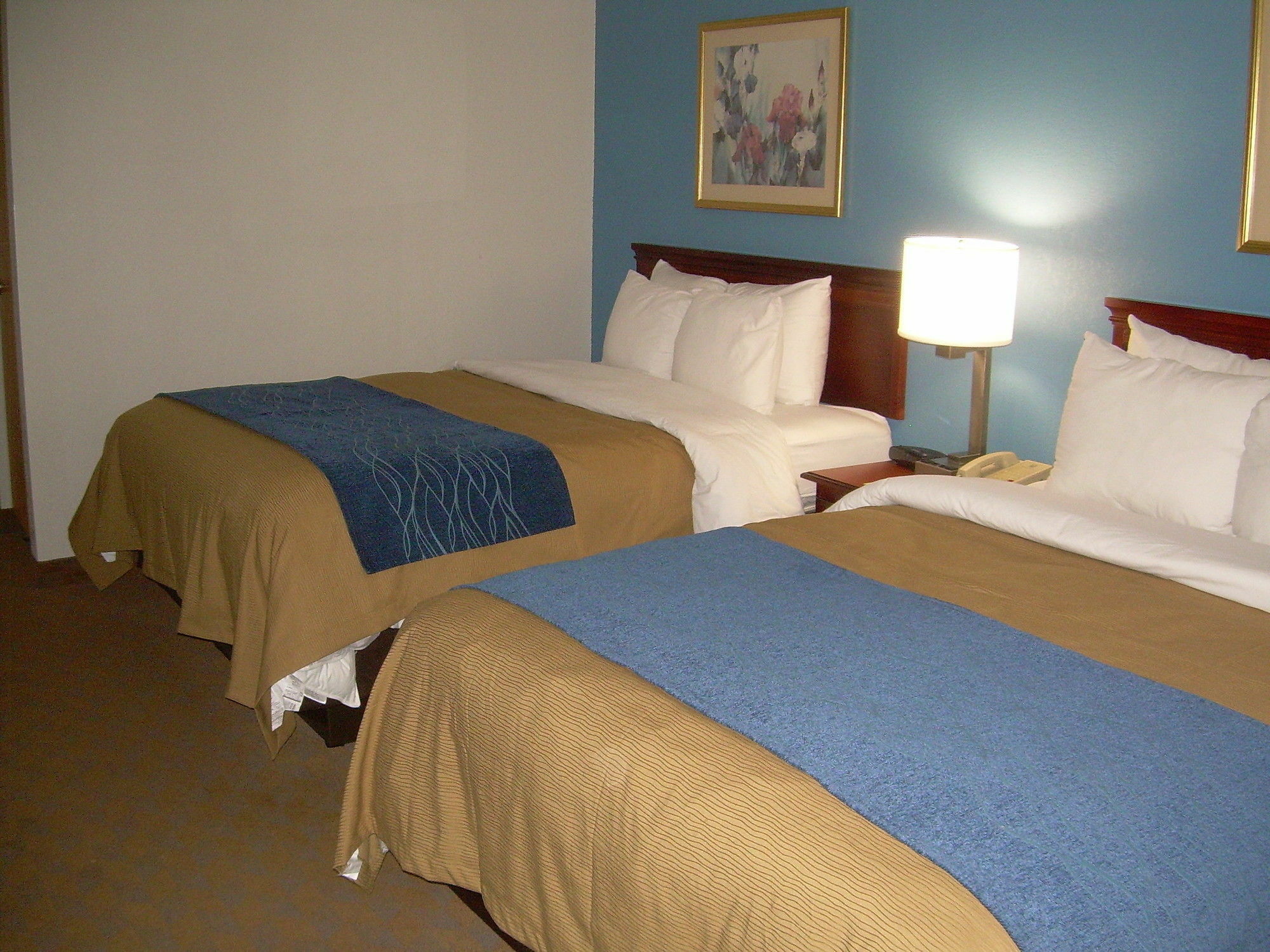 Comfort Inn & Suites Lees Summit - Kansas City Lee's Summit Εξωτερικό φωτογραφία